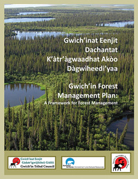 Gwich'in Forest Management Plan