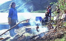 Gwich'in Harvest Study 