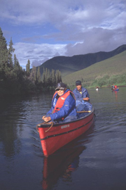 Gwich'in Harvest Study 