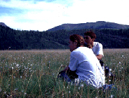 Gwich'in Renewable Resources Board