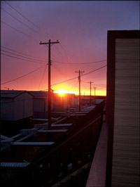 Backyard sunset