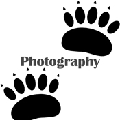 Photography