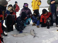 Fisheries Research Projects