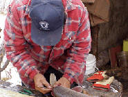 Fisheries Management