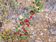 Environmental Education Projects