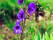 Environmental Education Projects