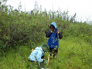 Forestry Research & Management Projects