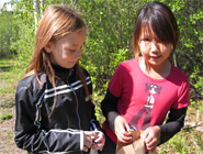 Environmental Education Projects