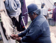 Gwich'in Traditional Knowledge Projects 